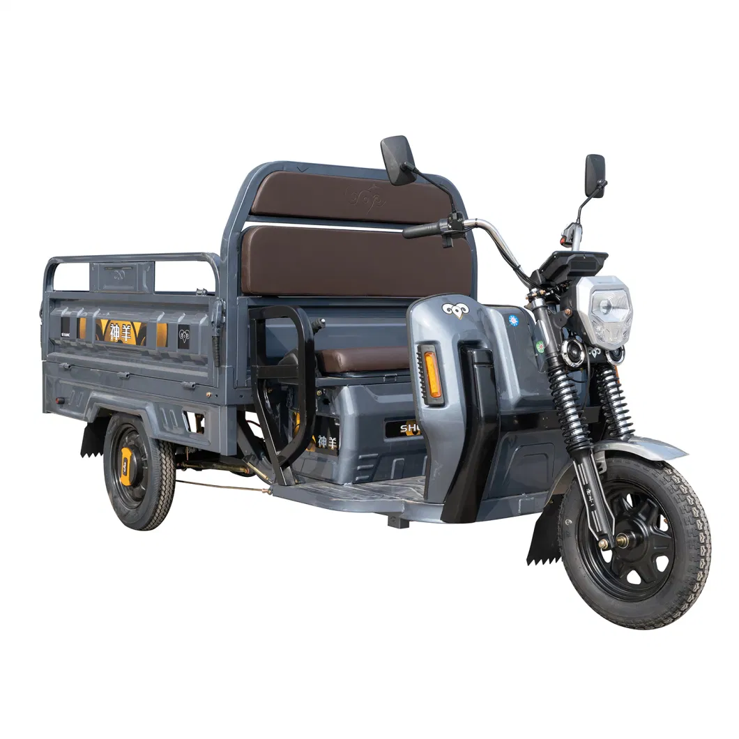 Shenyangfy150 Electric Cargo Tricycle