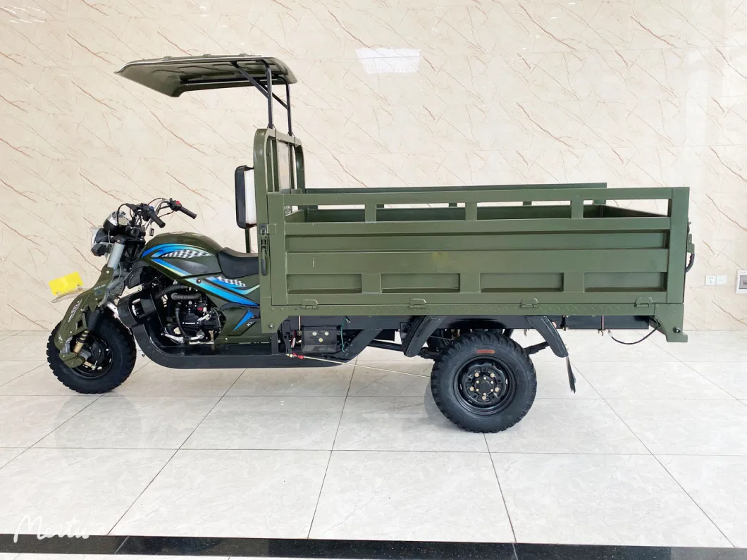 Competitive Price Good Quality 3 Wheel Cargo New Gasoline Tricycles