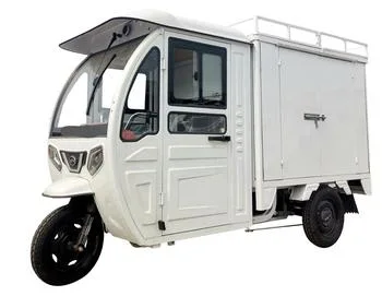 Saige Electric Truck Tricycle for Express Delivery