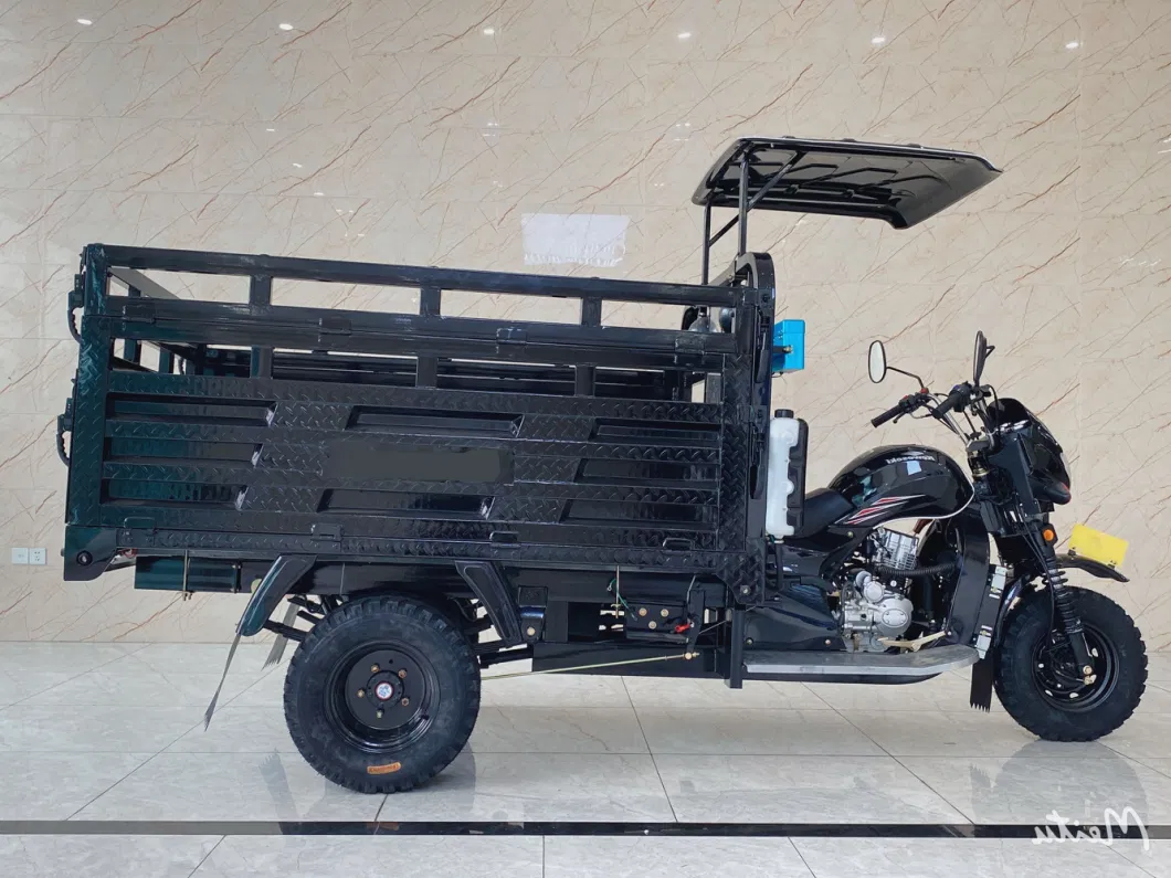 Fuel Oil Gasoline Freight Tricycle Motorcycle Hydraulic Dump Engine 150cc200cc250cc Motor Tricycle for Cargo