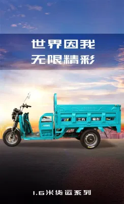 中国工場電動人力車大人用三輪車